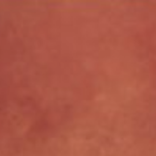 Screenshot 2024-08-22 at 5.31.16 PM